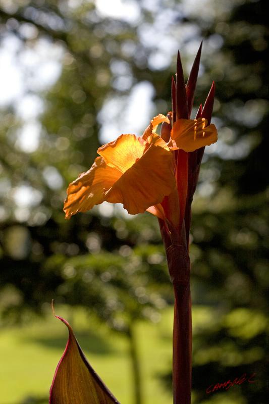 Cjp_2008_09_10_160514 (1).jpg
